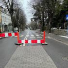 Fotka nr 2 z 3