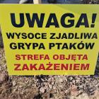 Fotka nr 2 z 4