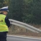Fotka nr 3 z 7