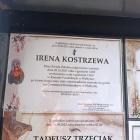zdjęcie nr 8