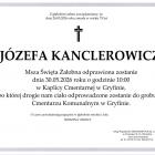 Fotka nr 3 z 9