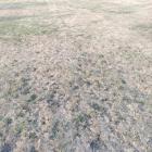 Fotka nr 1 z 8
