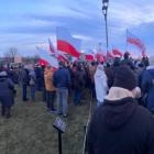 zdjęcie nr 37