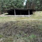 Fotka nr 3 z 11