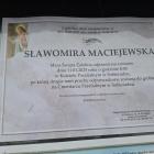 Fotka nr 4 z 5