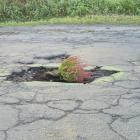 zdjęcie nr 9