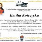zdjęcie nr 11