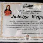 zdjęcie nr 9