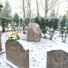 zdjęcie nr 7