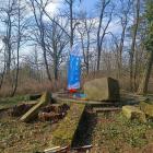 Fotka nr 3 z 10