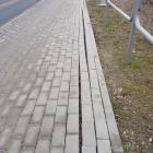 Fotka nr 2 z 6
