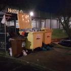 Fotka nr 2 z 5