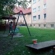 zdjęcie nr 