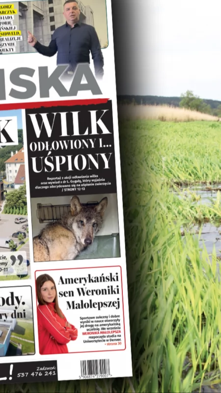 Rezerwat przyrody zamiast parku narodowego? Radni oburzeni