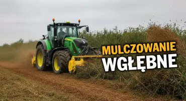 Mulczowanie - nowoczesne przygotowanie  terenu pod inwestycję