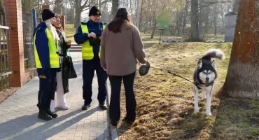Straż Miejska i policja apelują: Sprzątaj po psie, bo inaczej...