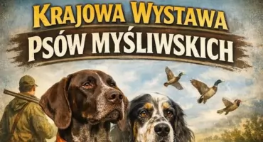 Wystawa Psów Myśliwskich w Gryfinie