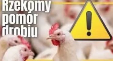 Informacja dla mieszkańców gminy Gryfino - rzekomy pomór drobiu