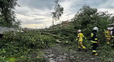 Strażacy wyjechali w poprzednim tygodniu do... 167 interwencji!
