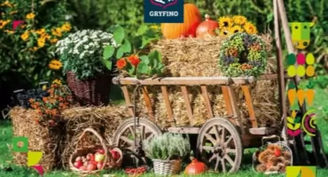  Czepino w dożynkowym stylu! 