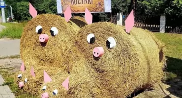 Już jutro dożynki w Czepinie! Podajemy program wydarzenia