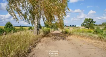 Rozpoczął się kolejny etap prac przy budowie Ścieżki Królewskiej 