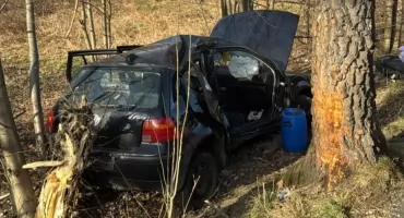 Samochód osobowy uderzył w drzewo 