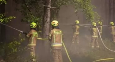 Przypalony garnek, uwięziony kot, zaklinowana głowa dziecka